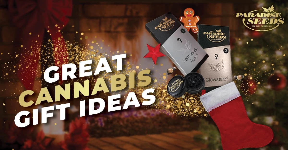 Cannabis Christmas Gift Ideas blog