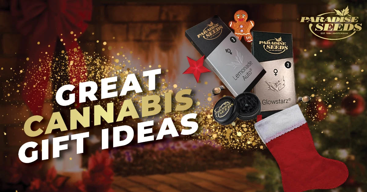 https://www.paradise-seeds.com/wp-content/uploads/2022/11/CANNABIS-GIFT-IDEAS_EN.webp