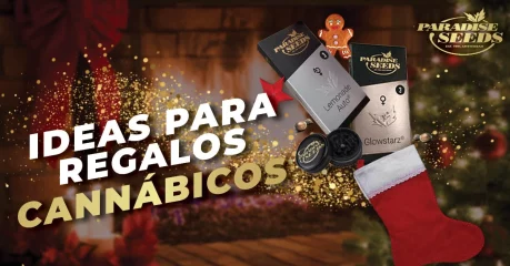 Grandes Ideas Para Regalos De Navidad Cannábicos Regalos de Navidad cannábicos