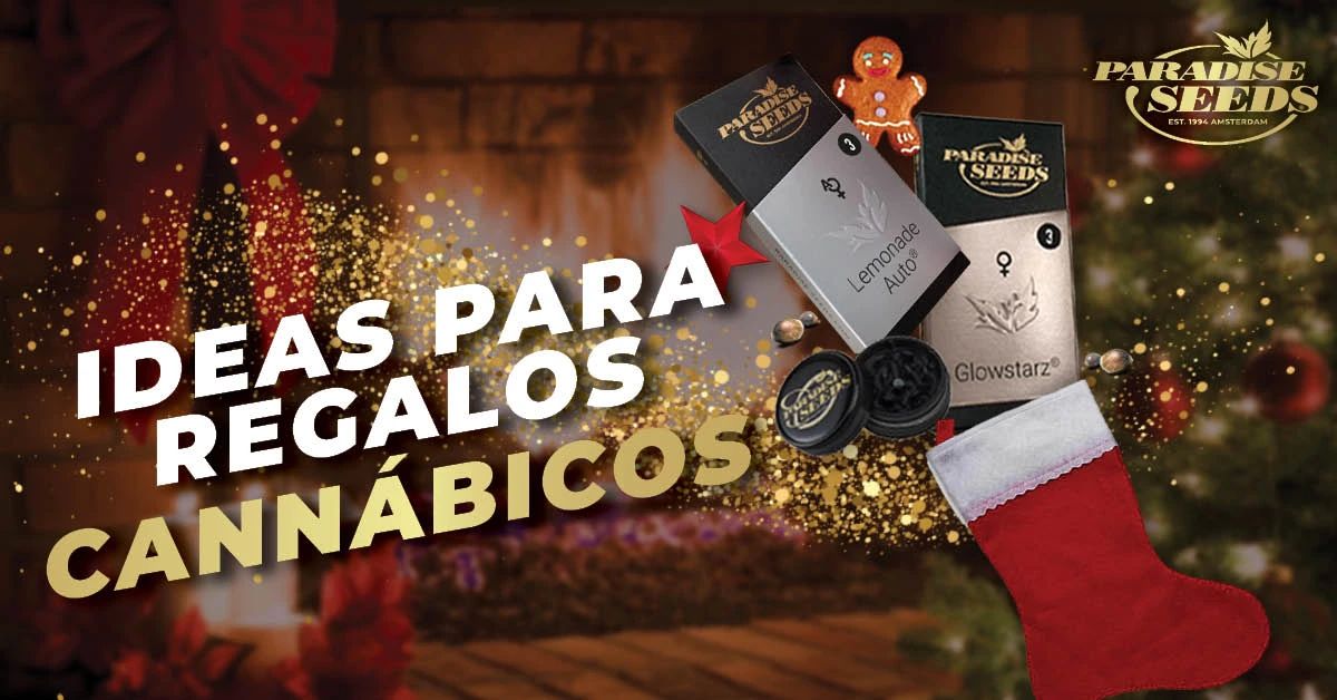 Regalos de Navidad cannábicos