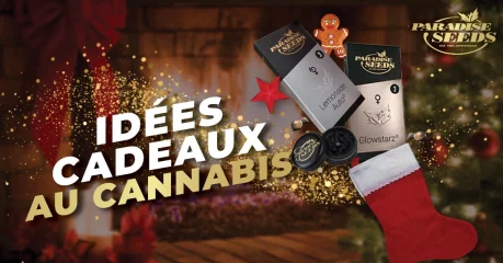 Cannabis et Noël blog
