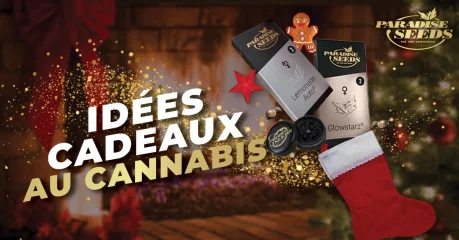 Cannabis Et Noël : Idées Cadeaux ! Cannabis et Noël blog