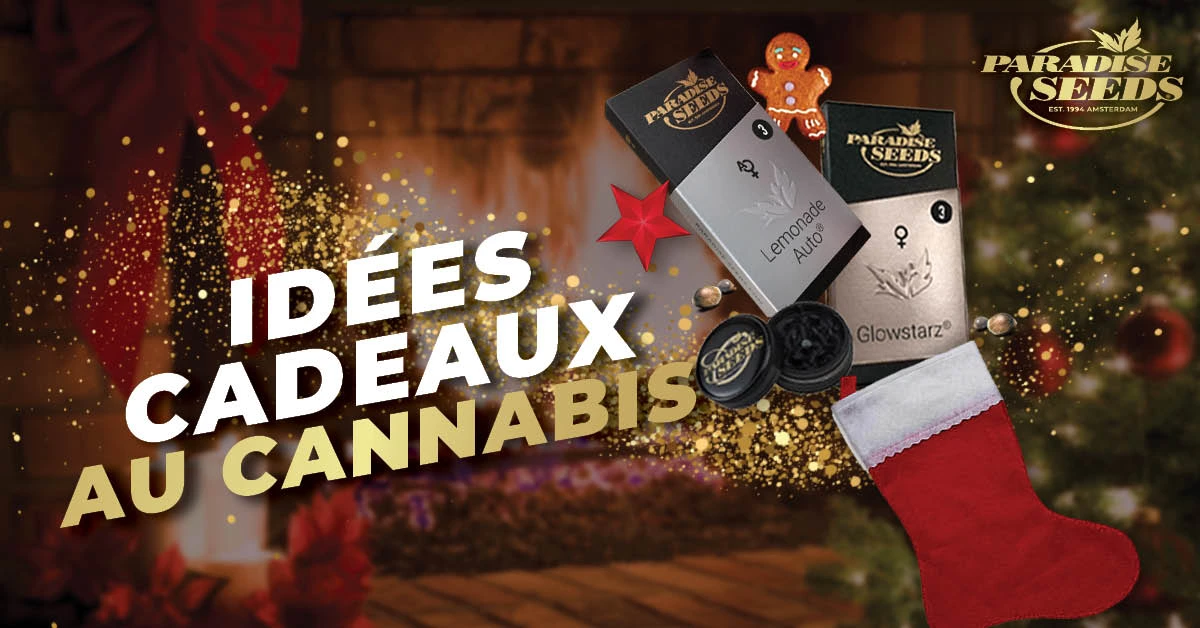 Cannabis et Noël blog