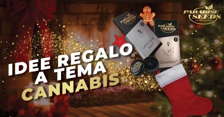 Grandi Idee Regalo Di Natale Per Gli Amanti Della Cannabis Regalo di Natale per gli amanti della cannabis