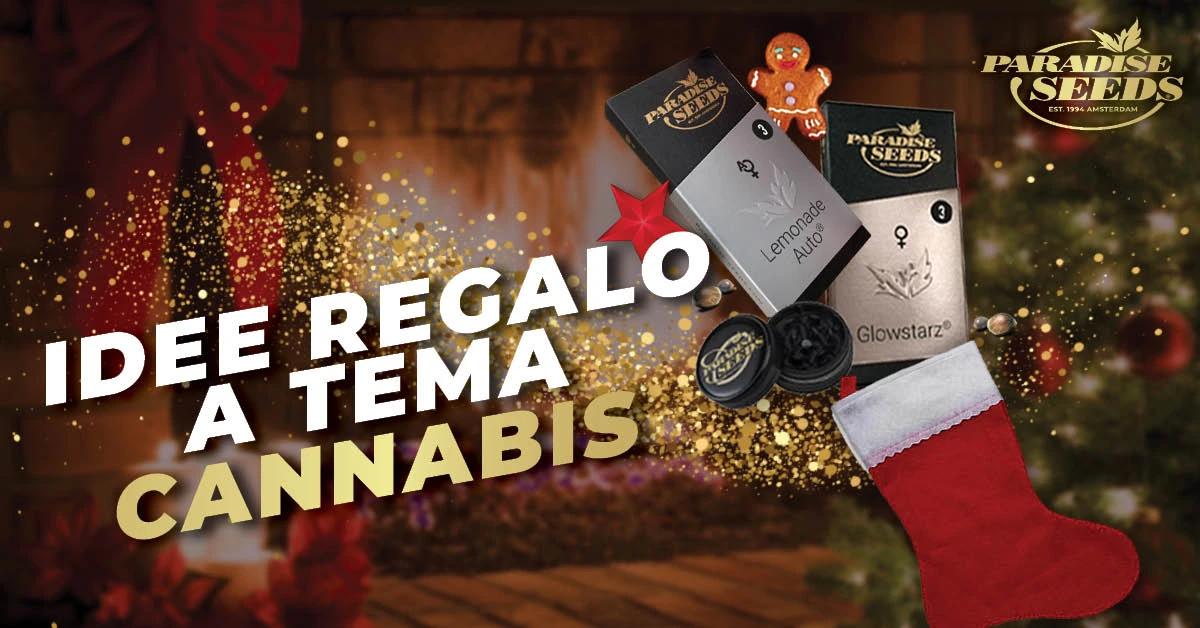 Regalo di Natale per gli amanti della cannabis