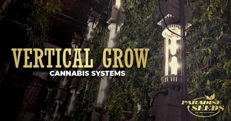 Vertical Grow Cannabis Systems
