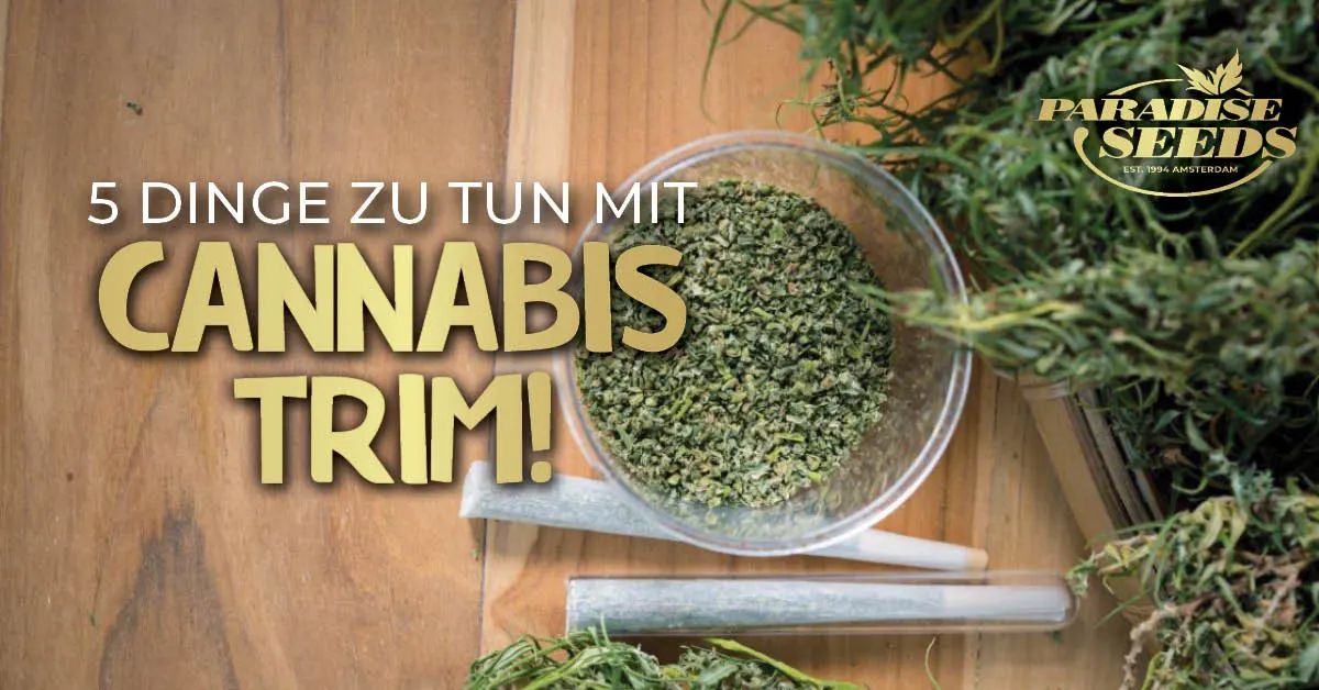 5 Ideen, wie Ihr Euren Cannabis Verschnitt nutzen könnt