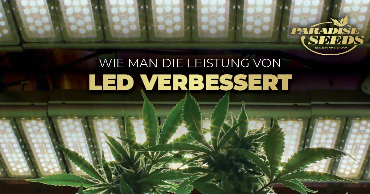 LEDs im GrowRoom verbessern