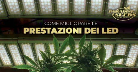 Migliorare le prestazioni dei LED