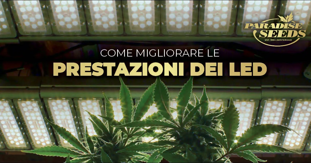 Migliorare le prestazioni dei LED