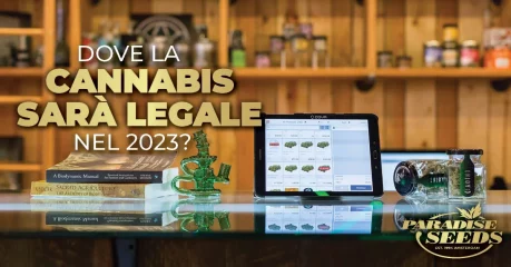 Paesi in cui la marijuana sarà legale nel 2023