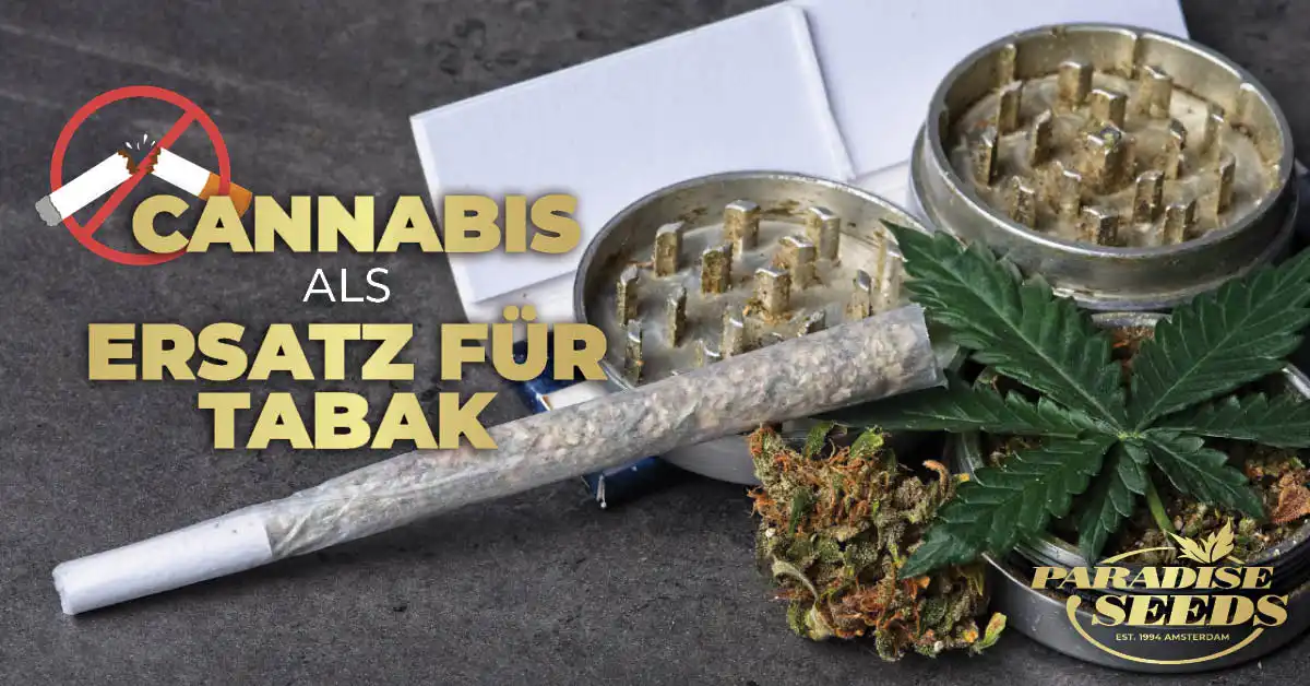 Cannabis als Tabakersatz