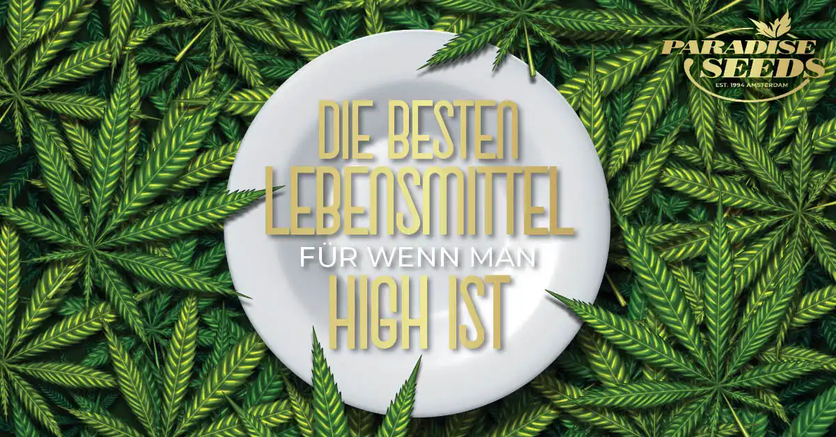 Lebensmittel für wenn man high ist