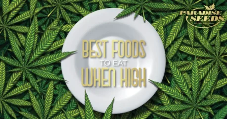 Best Foods to Eat When High