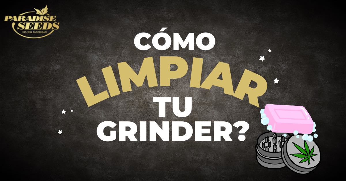 Métodos para la Limpieza de tu Grinder de Marihuana