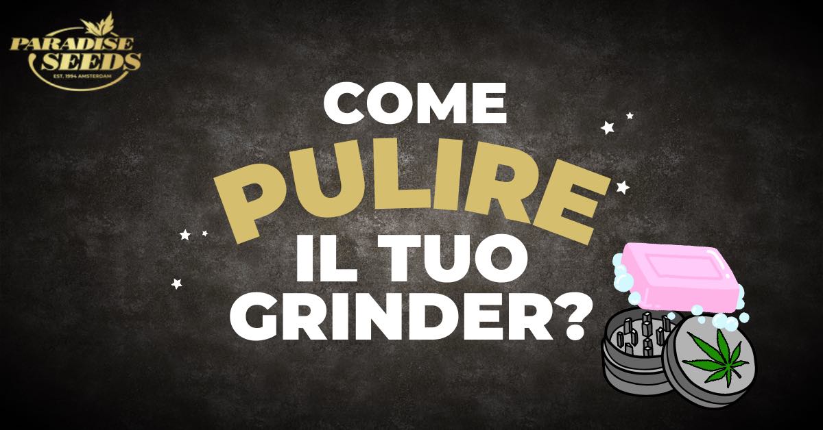 Come pulire il tuo grinder