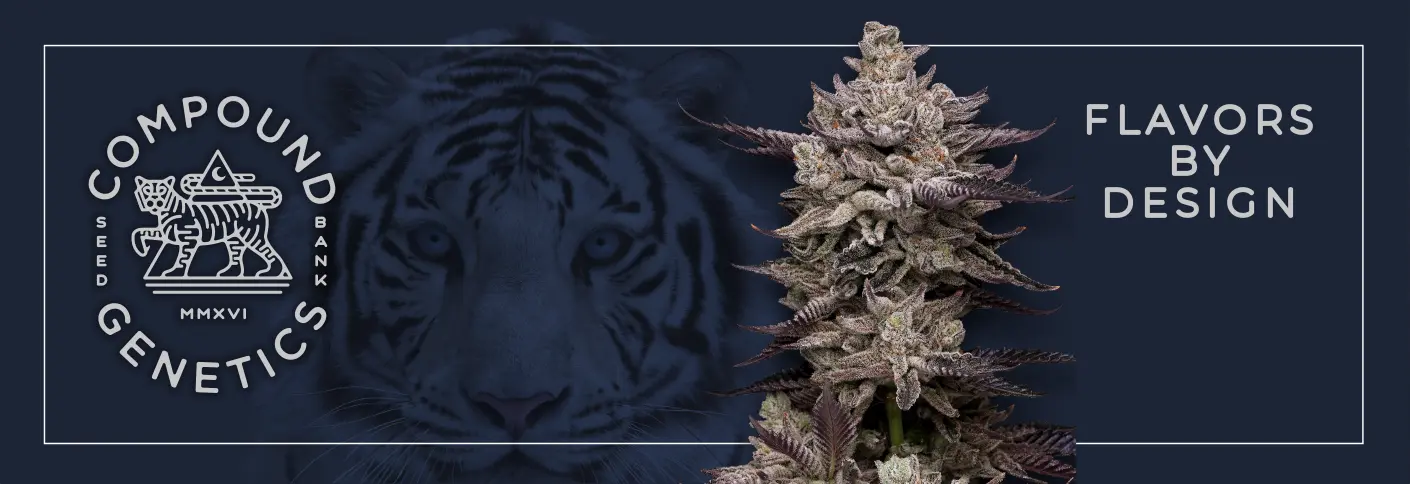 Compound Genetics