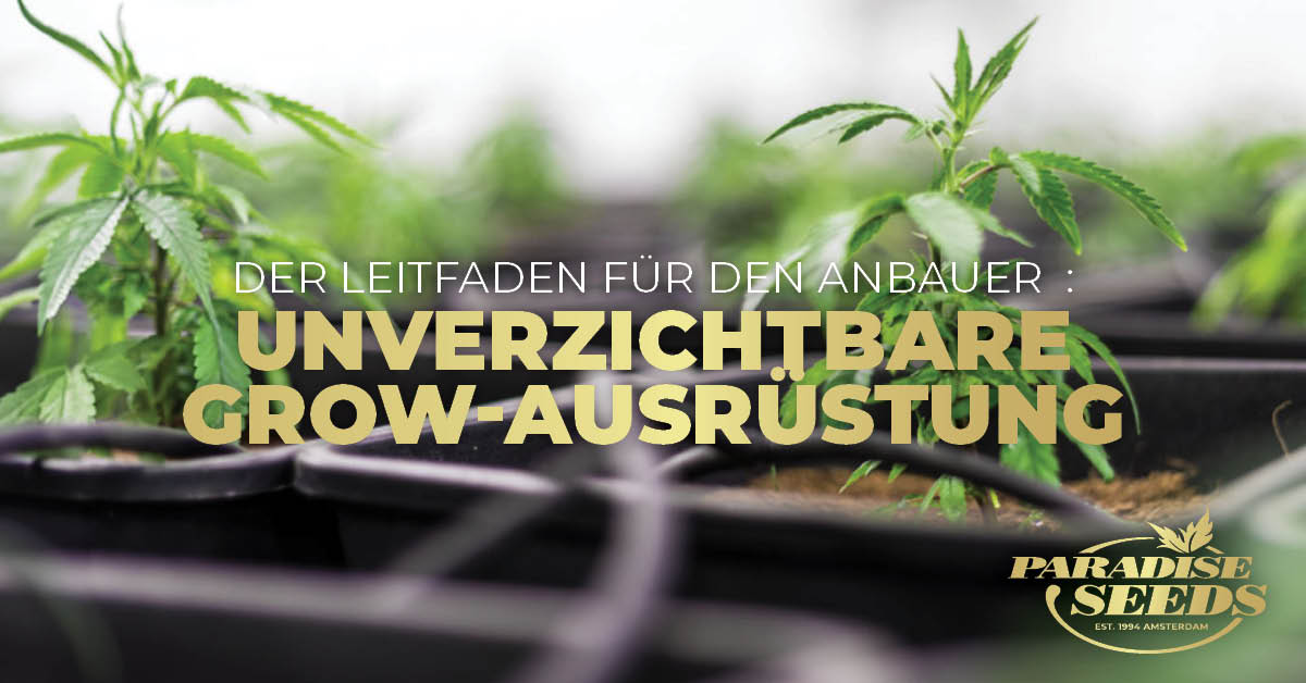 Unverzichtbare grow-ausrustung