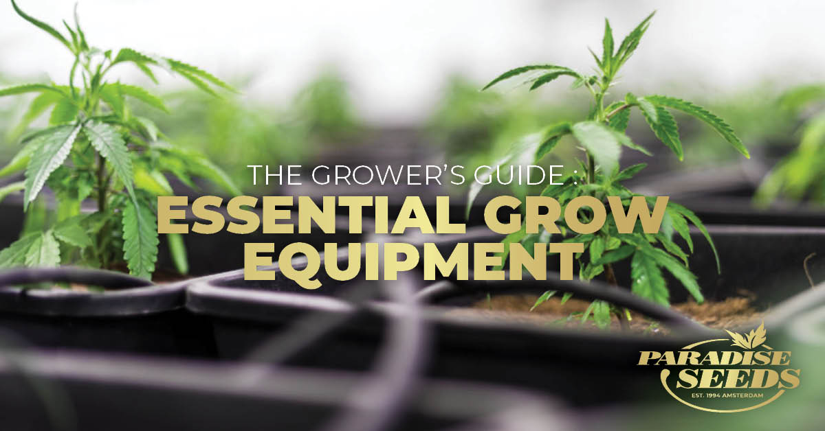 Essential cannabis grow equipment cover artwork