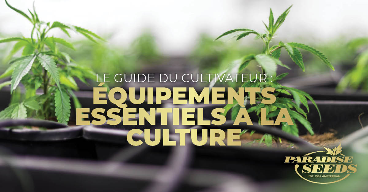 equipments essentials a la culture