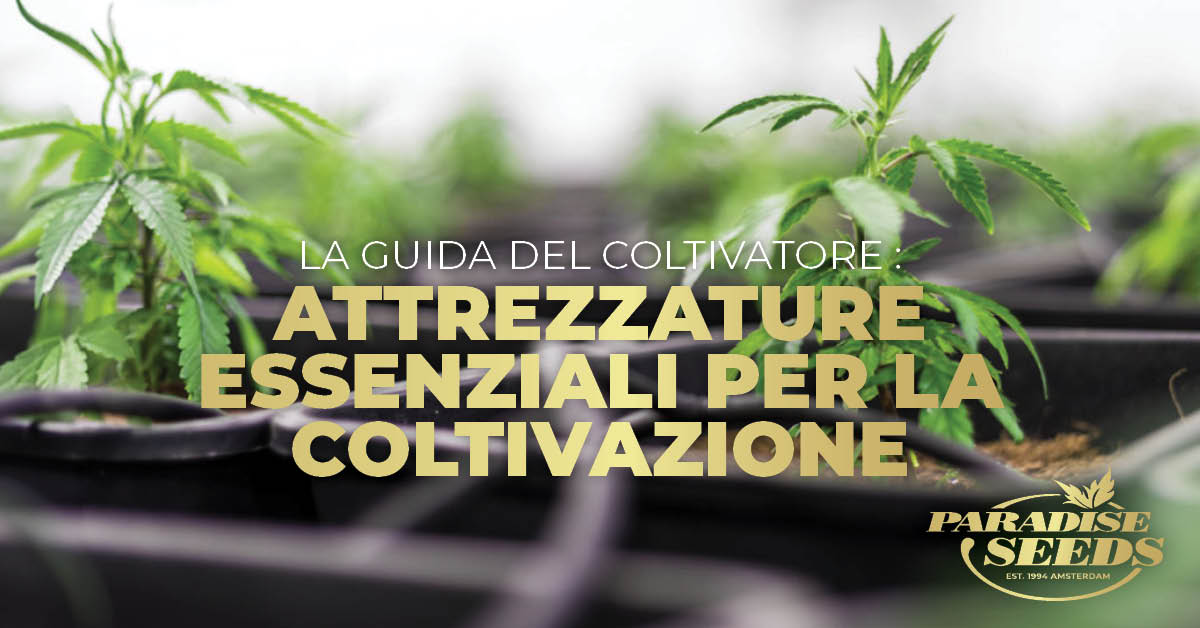 Attrezzature essenzali per la coltivazione