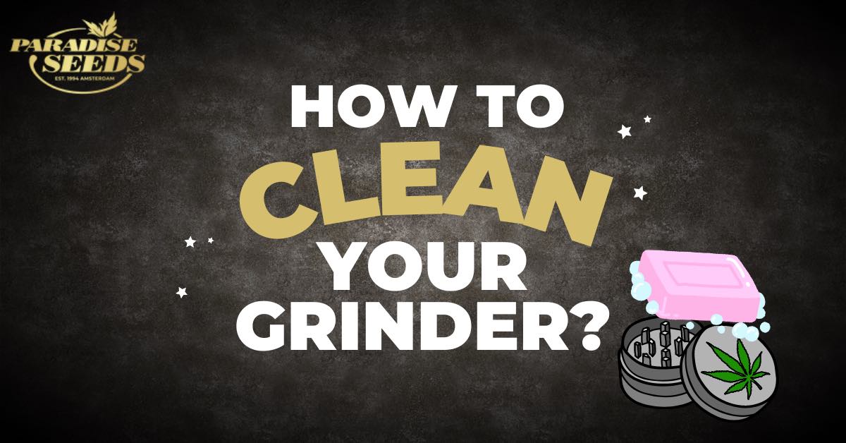 How to clean your grinder