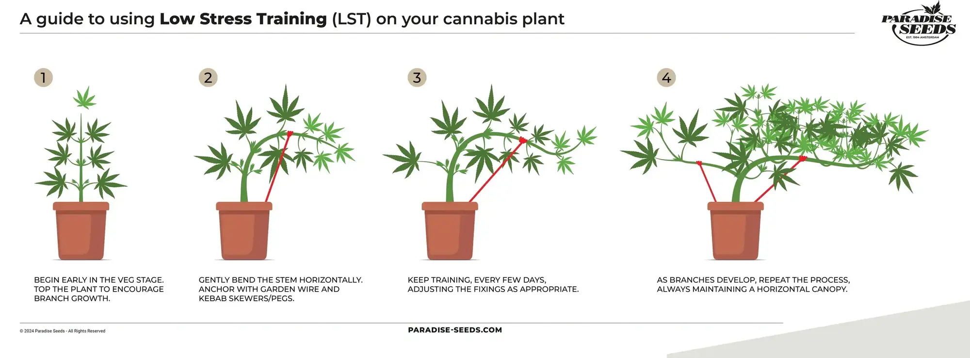 LST training technique explained. 