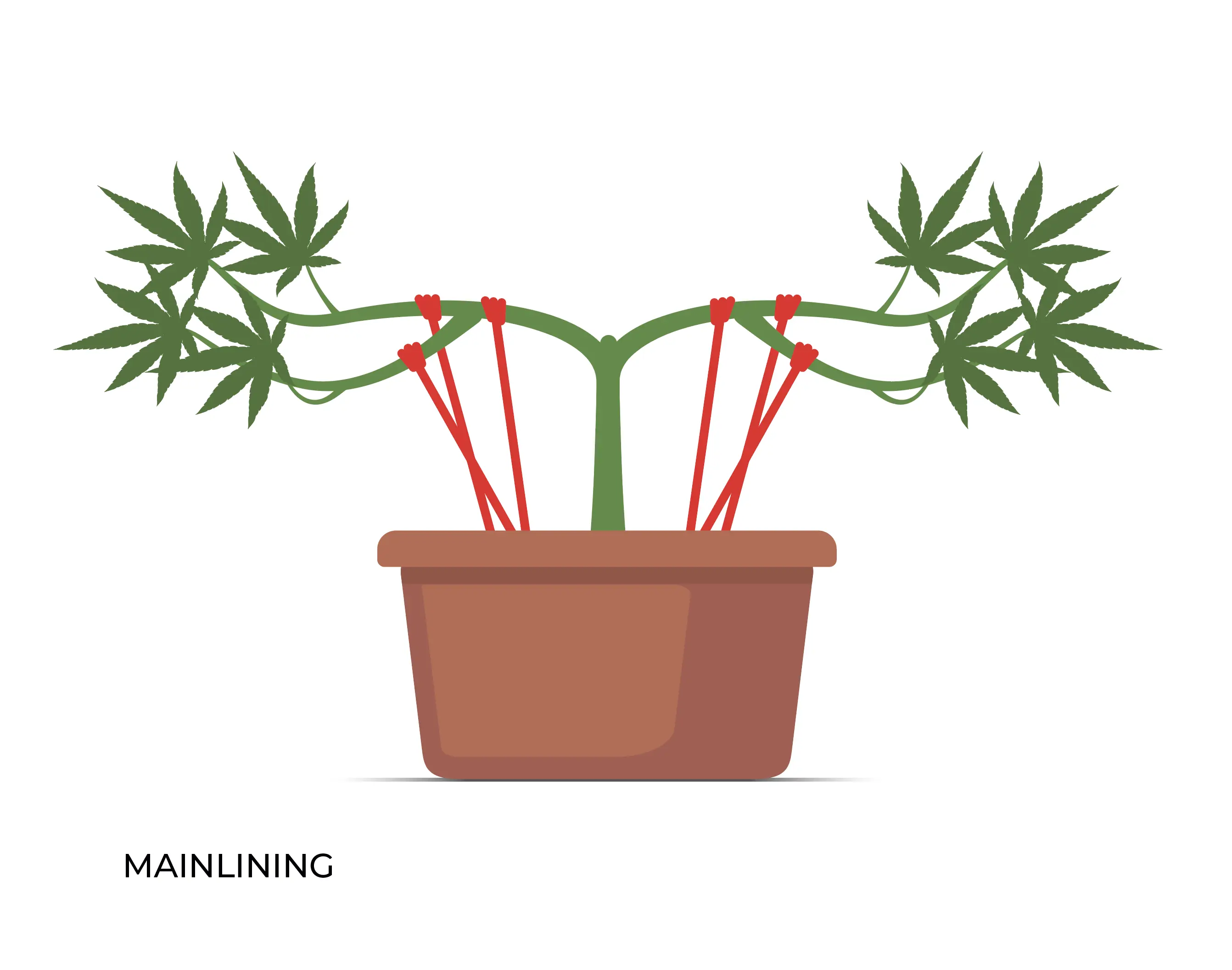 Mainlining HST technique infographic.