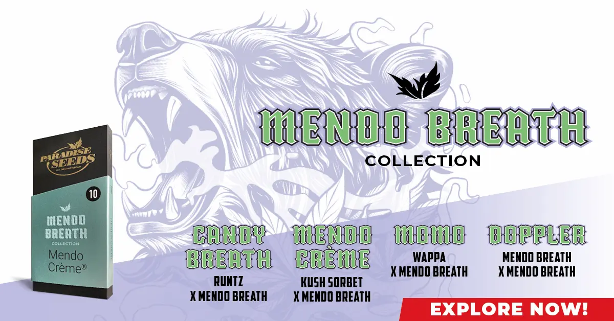 Collezione Mendo Breath