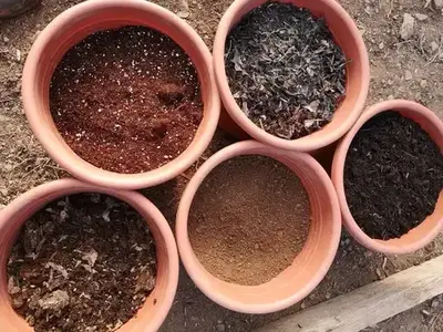 A soil mix for growing cannabis outdoors. 