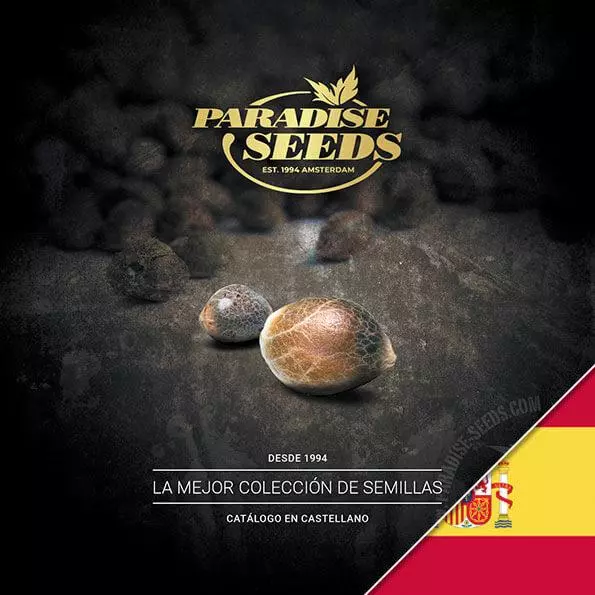 Paradise Seeds-Katalog für Cannabissamen