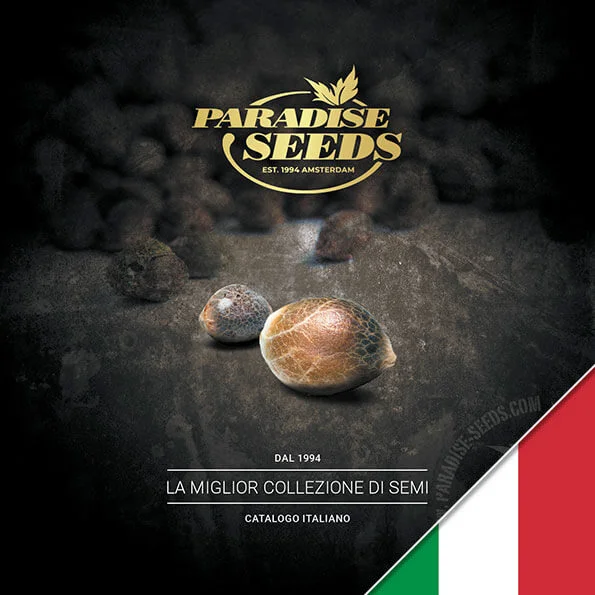 Catalogo di semi di cannabis Paradise Seeds