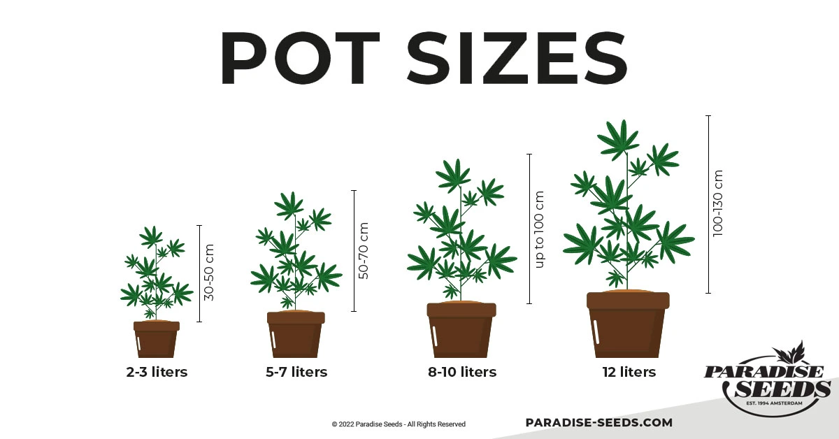 Pot sizes and relative growth