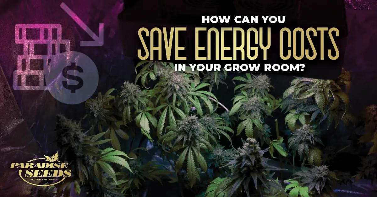 Save energy costs in grow room article cover.
