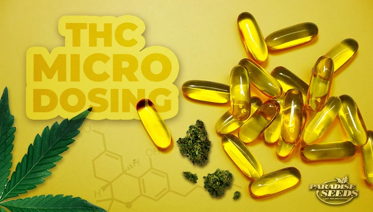 Is THC Microdosing the Future of Cannabis?