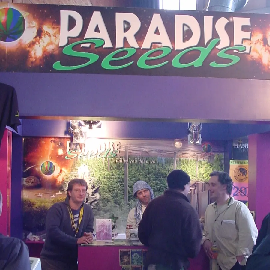 Paradise Seeds story - the 2000s