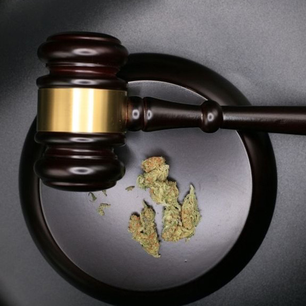 Cnnabis and court gavel