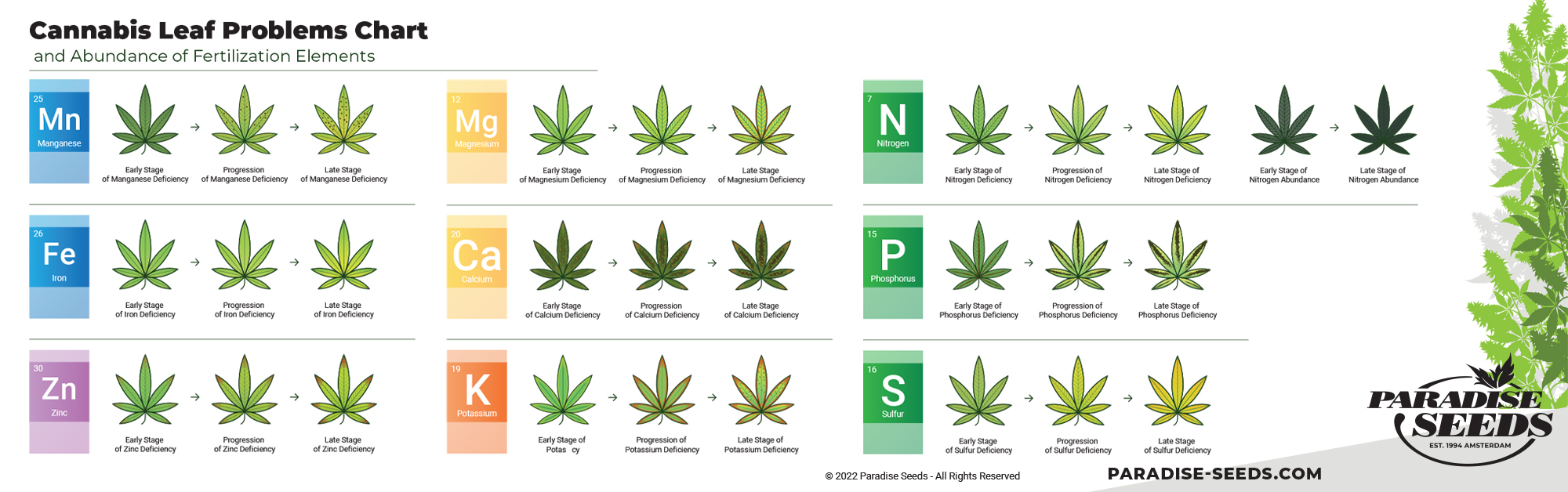 Cannabis nutrient issues chart - deficiency and abbundance 