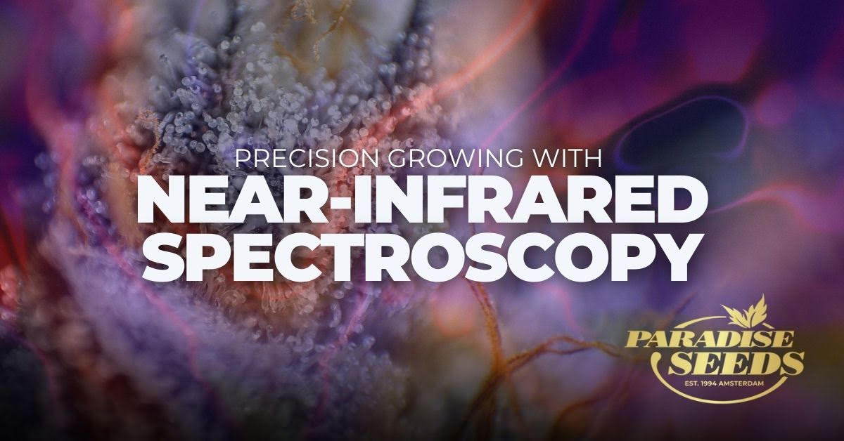 Near-infrared spectroscopy article cover artwork